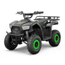 Mini quad BAZZZZ 36 volts 1000w 2026