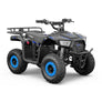 Mini quad BAZZZZ 36 volts 1000w 2026