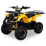 Quad Électrique Enfant BAZOOKA 1000 watts 48 volts