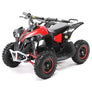 Quad Avenger Électrique 1000 watts 48 volts