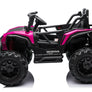 Buggy 24 volts - Honda Talon