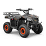 Mini quad BAZZZZ 36 volts 1000w 2026