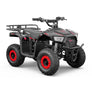 Mini quad BAZZZZ 36 volts 1000w 2026
