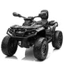 Quad Can-Am 850 4 moteurs x 200 watts  24 volts 2 places