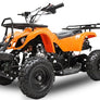 Mini quad 36 VOLTS BAROUDEUR