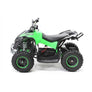Quad Avenger Électrique 1000 watts 48 volts